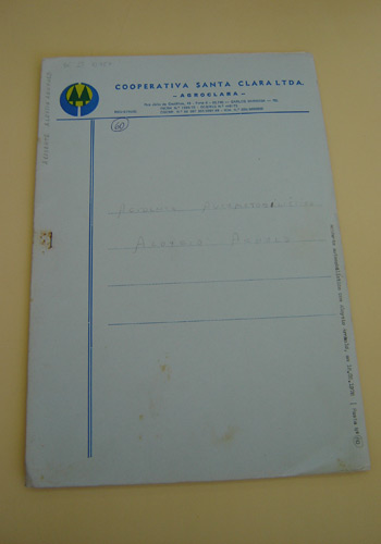 Acidente Automobilístico