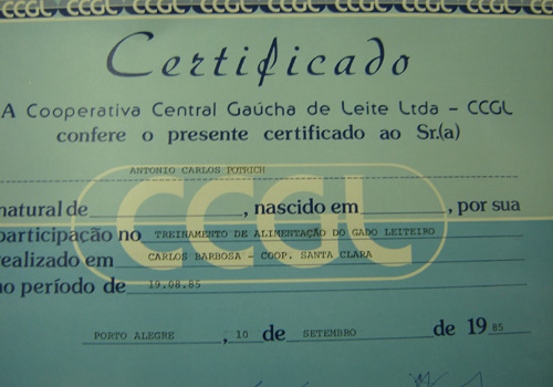 Treinamento do gado leiteiro