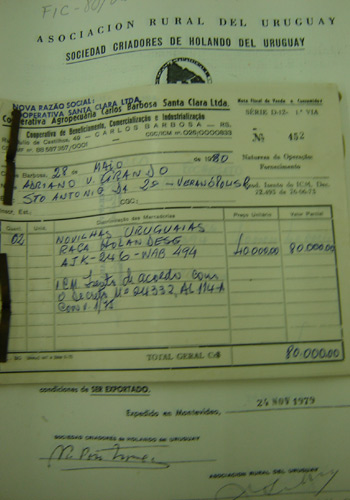 Certificado para exportação de gado holandês do Uruguai