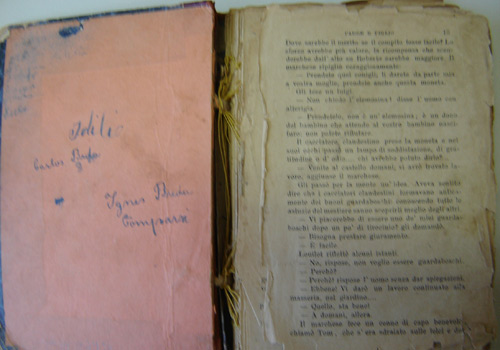 Livro de Contos Breda