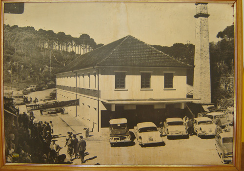 Festa 50 anos