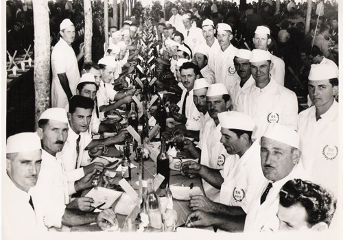Festa 50 anos