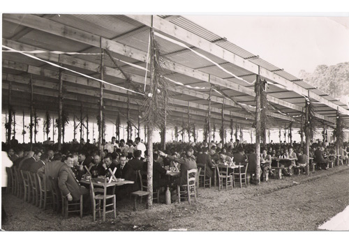 Festa