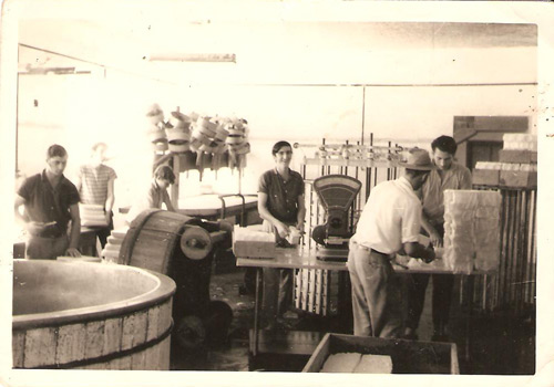 Produzindo queijo