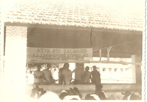 foto ermelindo cini