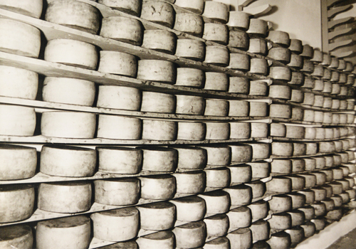 Maturação