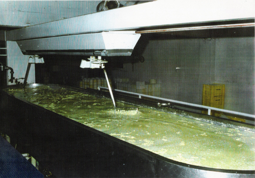 Preparando o queijo